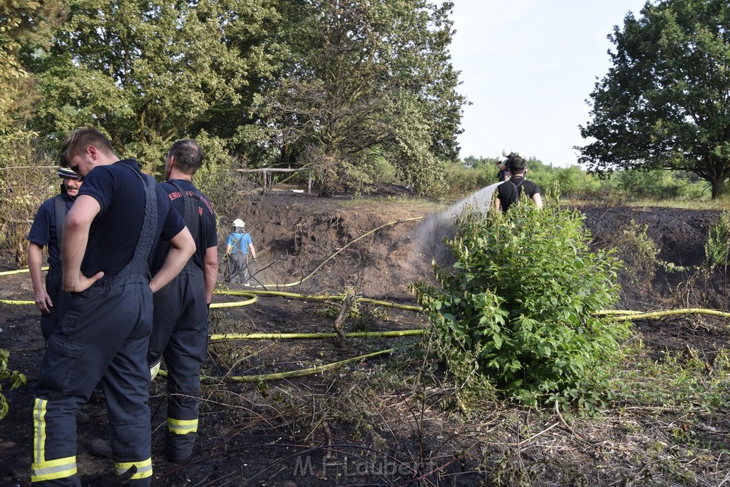 Waldbrand Koeln Hoehenhaus Hoehenfelder Mauspfad P113.JPG - Miklos Laubert